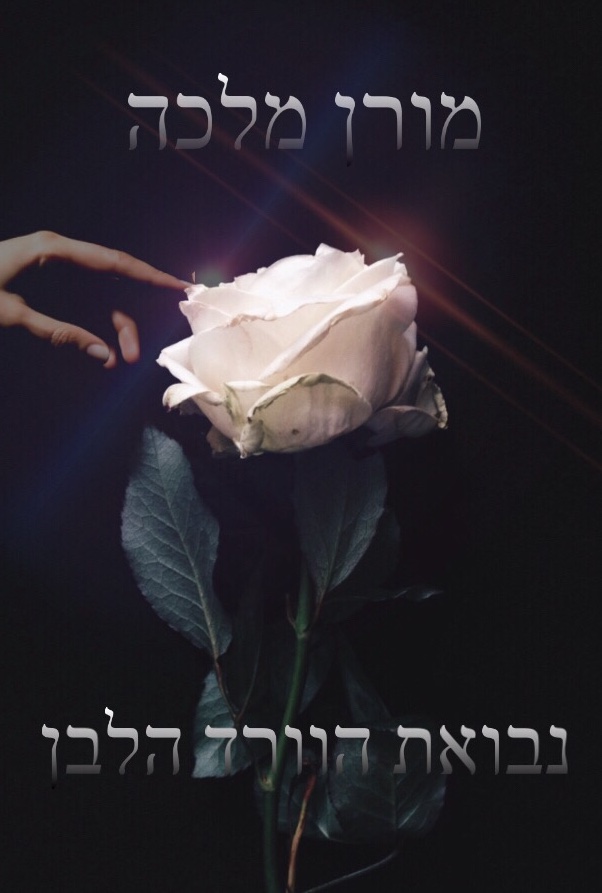 נבואת הוורד הלבן