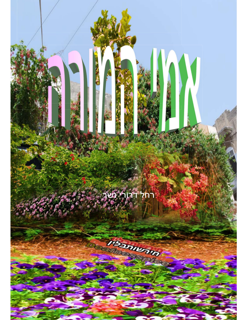 אמי המורה